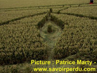 Avebury Stone Circle, Wiltshire crop circle, aerial photo 78